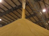 Dried Distillers Grains